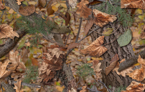 realistyczny kamuflaż bezszwowy wzór. kamuflaż myśliwski na tkaniny, broń lub vechicles. - camouflage zdjęcia i obrazy z banku zdjęć