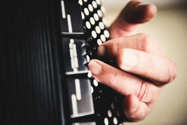 Accordion player's left hand on accordion keyboard, close up