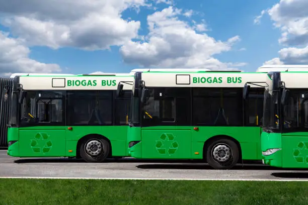 Buses powered by biogas. Carbon neutral transportation concept