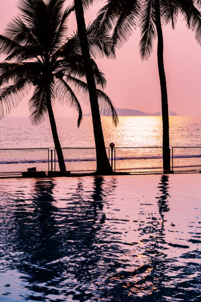 istock Reflection of palm trees in a blue swimming pool at sunset 1313065902