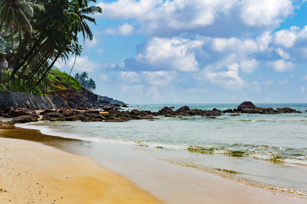 istock Paradise on earth, Indian ocean, sandy beach and palm trees, Goa, India 1313065912