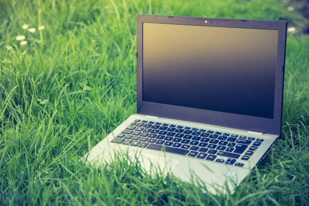 istock Studying outdoors in the park: Laptop lying in the green grass 1313067791
