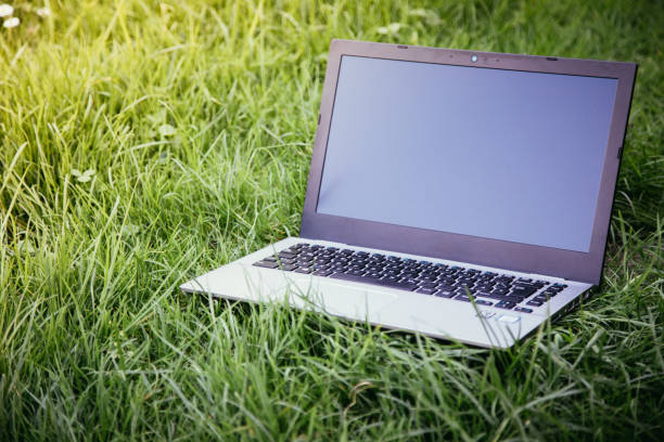 istock Studying outdoors in the park: Laptop lying in the green grass 1313067806