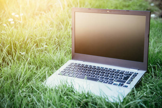 istock Studying outdoors in the park: Laptop lying in the green grass 1313067825