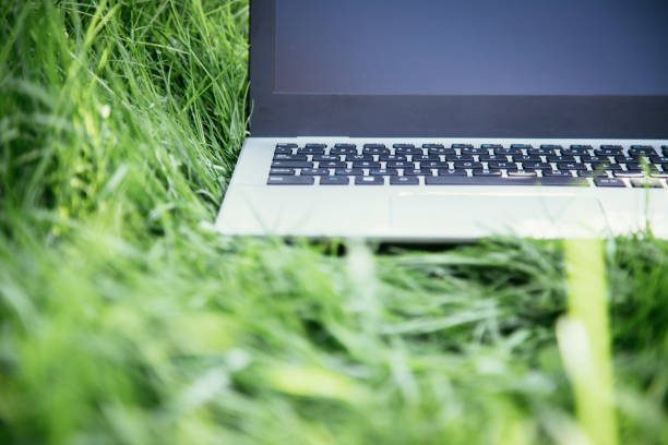 istock Studying outdoors in the park: Laptop lying in the green grass 1313067827