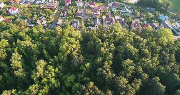 istock Suburban house area 1313073525
