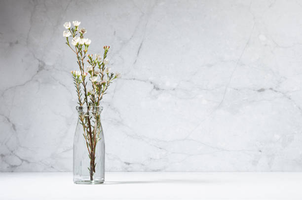 istock White tiny flowers on branch of bloom tree in glass bottle in modern interior with grey concrete wall on white wood table, copy space. Spring rural bouquet. 1313074429