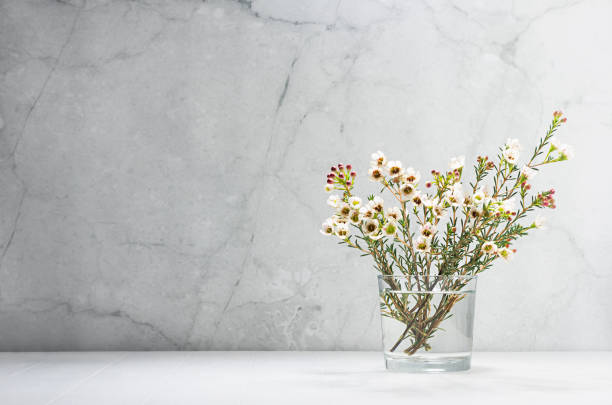 istock White cherry bloom branch in bright morning sun light as delicate spring home decor in modern grunge interior - marble wall, white wood table, copy space. 1313074434