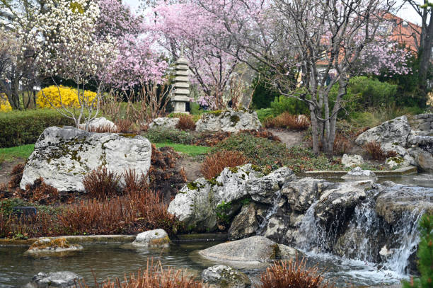 istock Blossoming tree and stream in Setagaya Park in Vienna 1313074667