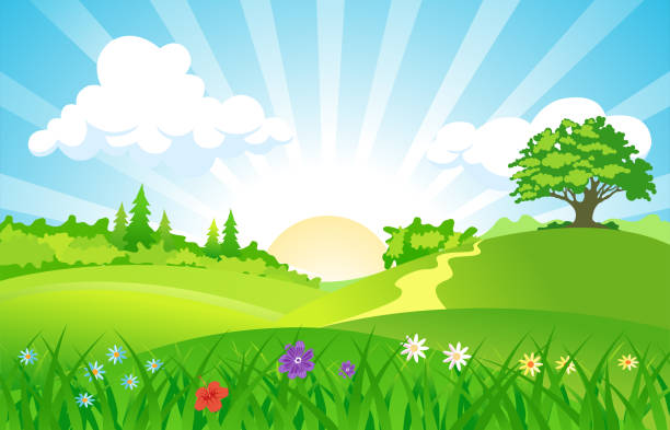 ilustraciones, imágenes clip art, dibujos animados e iconos de stock de paisajes verdes de verano. - sunny day