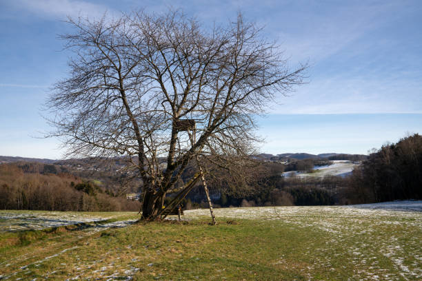 istock Bergischer Panoramasteig, Bergisches Land, Germany 1313078318