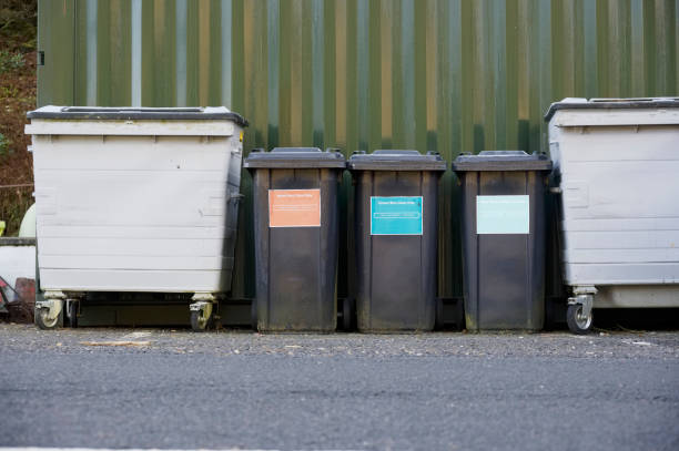 istock Black recycle wheelie bins in row for collection 1313079777