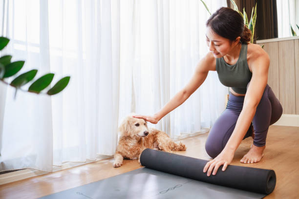 giovane donna asiatica srotolare rotolo tappeto yoga nero per giocare a yoga con il suo cane a casa per la quarantena se stessa da covid-19 - unrolling foto e immagini stock