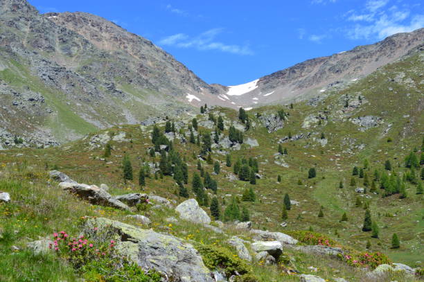 istock Beautiful landscape in Southtyrol (Ultental) 1313082861