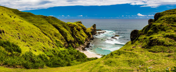 panoramiczny widok na lazurową zatokę z .rocky coast i zielonym nachyleniem pastwisk, indonezja - nowt zdjęcia i obrazy z banku zdjęć