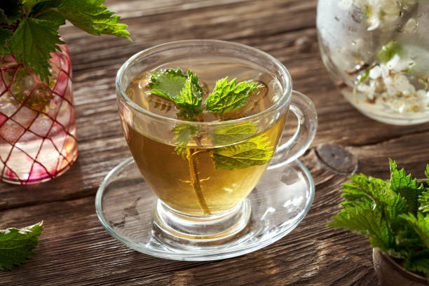 istock Fresh young stinging nettles in a cup of tea 1313085594