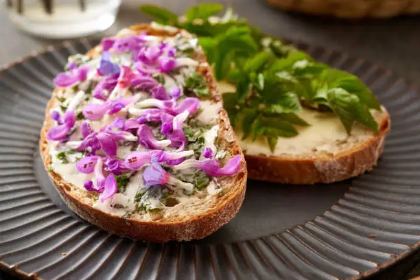 Slices of sourdough bread with wild edible spring plants - ground elder leaves, lungwort and purple dead-nettle flowers