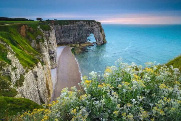 Photo of Admirable coastline with spectacular cliffs near Etretat, Normandy, France