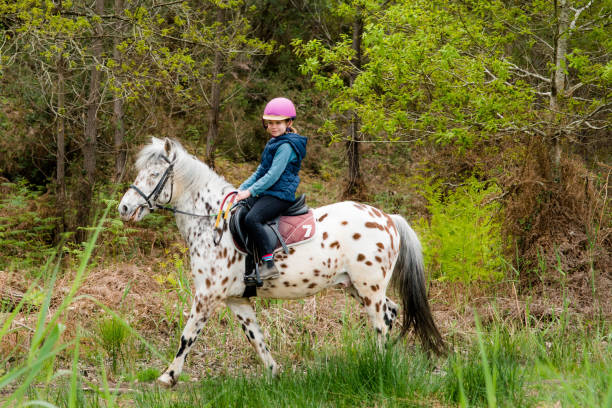 gorgeous little girl walking in the forest on her pony cute girl on her pony in spring pony photos stock pictures, royalty-free photos & images