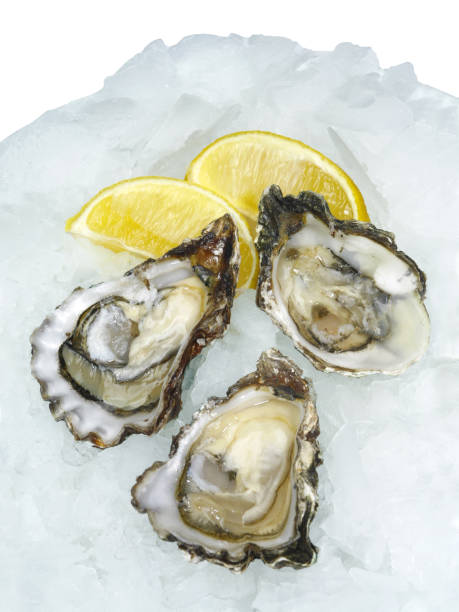 istock Fresh open oysters with lemon on crushed ice 1313091326