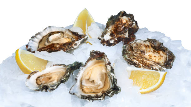 istock Fresh open oysters with lemon on crushed ice 1313091339