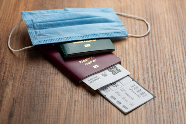 istock COVID-19 vaccine passport for international circulation. 1313092202