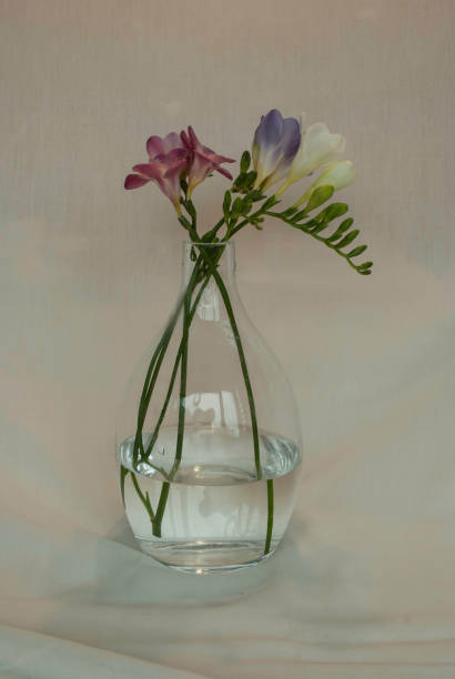 istock Glass vase with flowers 1313092388