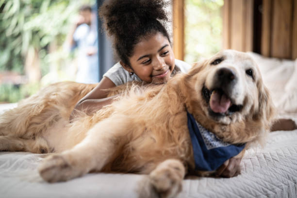 istock Girl playing with dog at home 1313092439