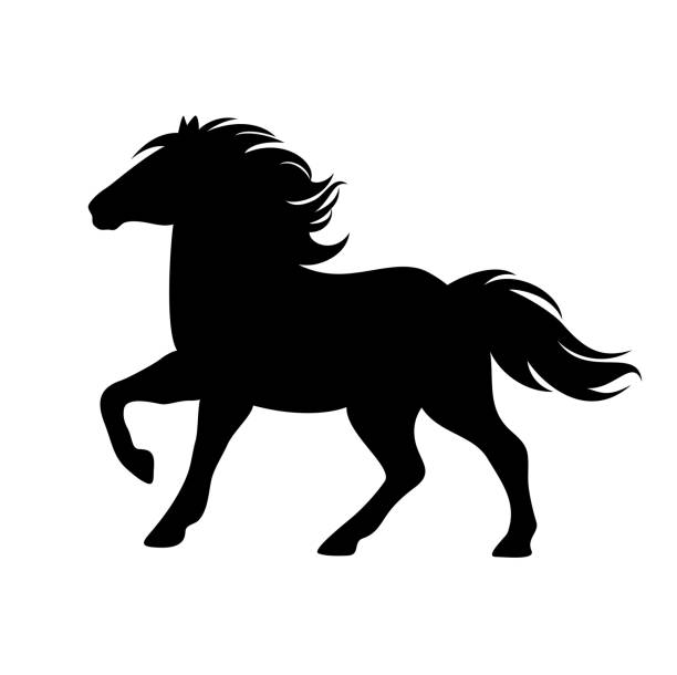 illustrations, cliparts, dessins animés et icônes de silhouette mignonne de cheval de poney de fonctionnement noir et blanc - pony