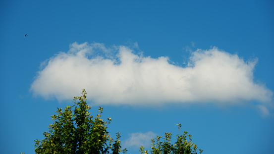 White cloud against the blue sky. Summer season, July. Web banner.