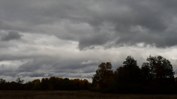 istock Rain clouds over the forest in cloudy weather 1313093588