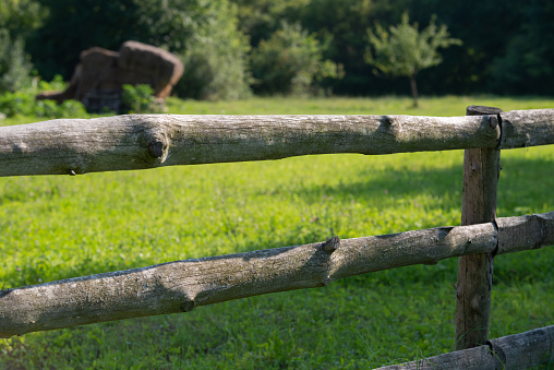 Wooden fence in the meadow in the evening. Summer season, July.