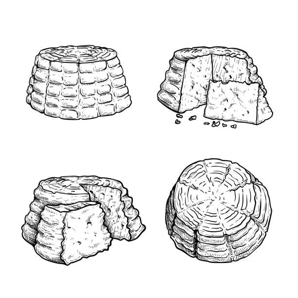 Italian cheese Ricotta set. Hand drawn sketch style drawings. Traditional Italian cheese collection. Vector illustrations isolated on white background. Italian cheese Ricotta set. Hand drawn sketch style drawings. Traditional Italian cheese collection. Vector illustrations isolated on white background. cottage cheese stock illustrations