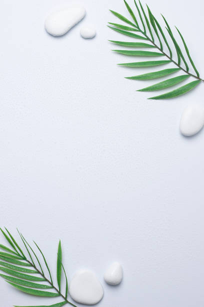 istock Spa background with white stones, water drops and palm leaves on white. Flat lay,copy space 1313095703