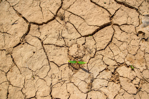 istock Yellow drought cracked earth. Dry mud, broken texture 1313096700
