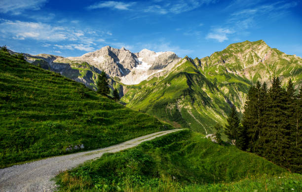 istock Beautiful Austrian countryside landscape view 1313099380
