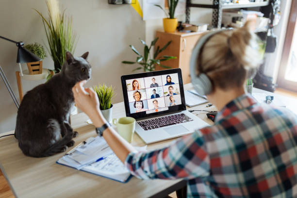 istock Young businesswoman at home having video call and telecommuting, while cat interrupts her 1313106674
