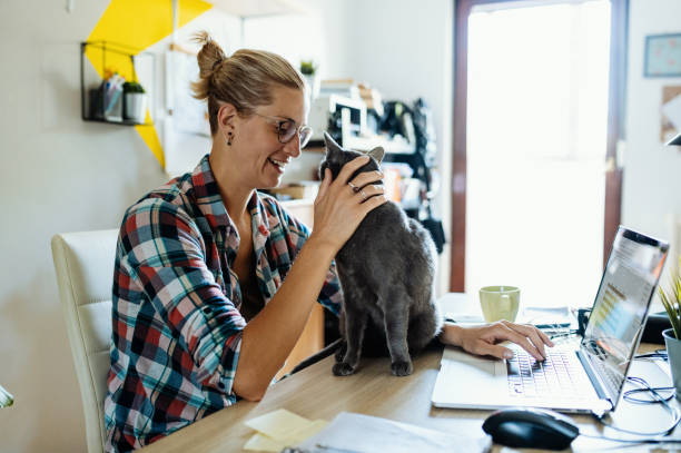 istock Millennial businesswoman working on laptop while her cat interrupts 1313106844