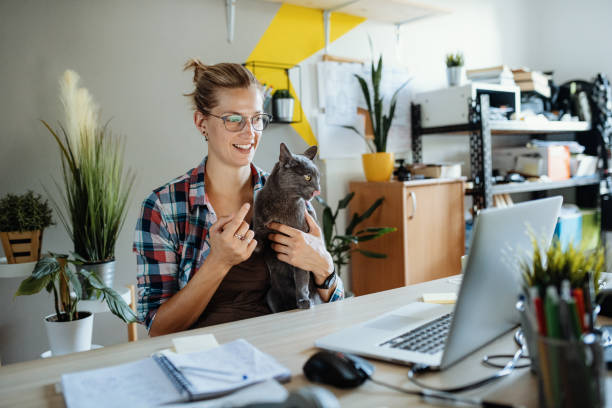 istock Millennial businesswoman working on laptop while her cat interrupts 1313106845