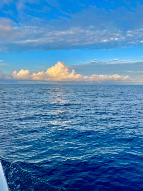 istock Boat wake in the ocean 1313106884