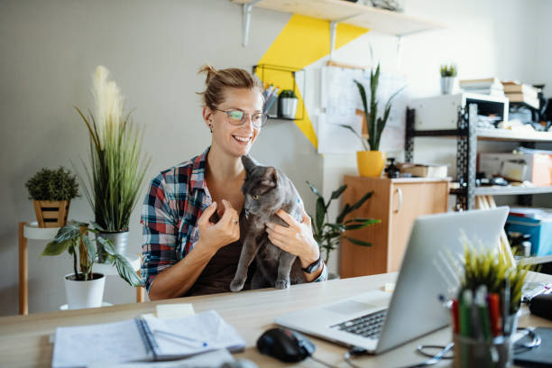 istock Millennial businesswoman working on laptop while her cat interrupts 1313106963