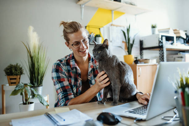 istock Millennial woman working on laptop while her cat interrupts 1313106968