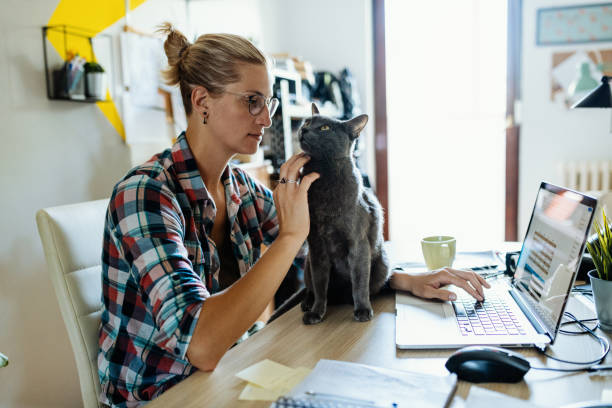 istock Millennial businesswoman working on laptop while her cat interrupts 1313107077
