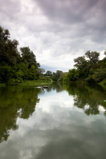 istock Morning on the river in the forest on a summer day 1313107725
