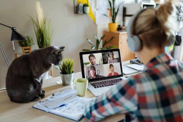 Millennial woman working on laptop while her cat interrupts