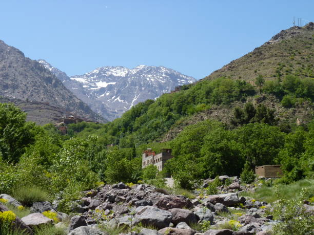 istock Hiking in the High Atlas, Morocco 1313108835