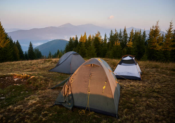 istock Campsite is set on mountain hill in summer. 1313110212