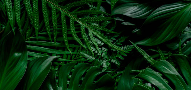 istock Abstract green leaves nature texture background. Creative layout for design 1313111434