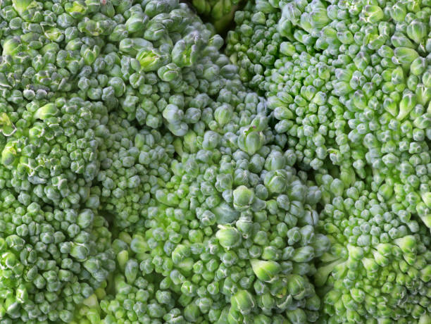 istock macro shot of raw broccoli florets texture as background 1313113351