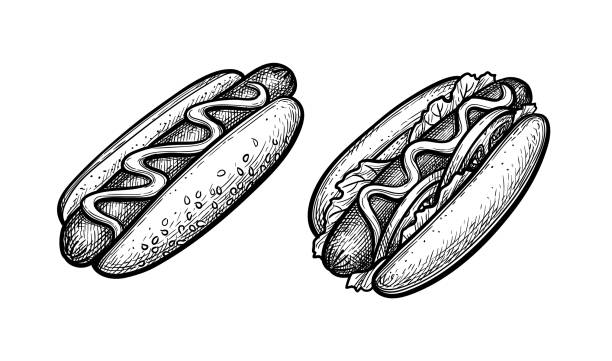 ilustrações, clipart, desenhos animados e ícones de esboço de tinta de cachorro-quente. - hot dog relish white background sesame